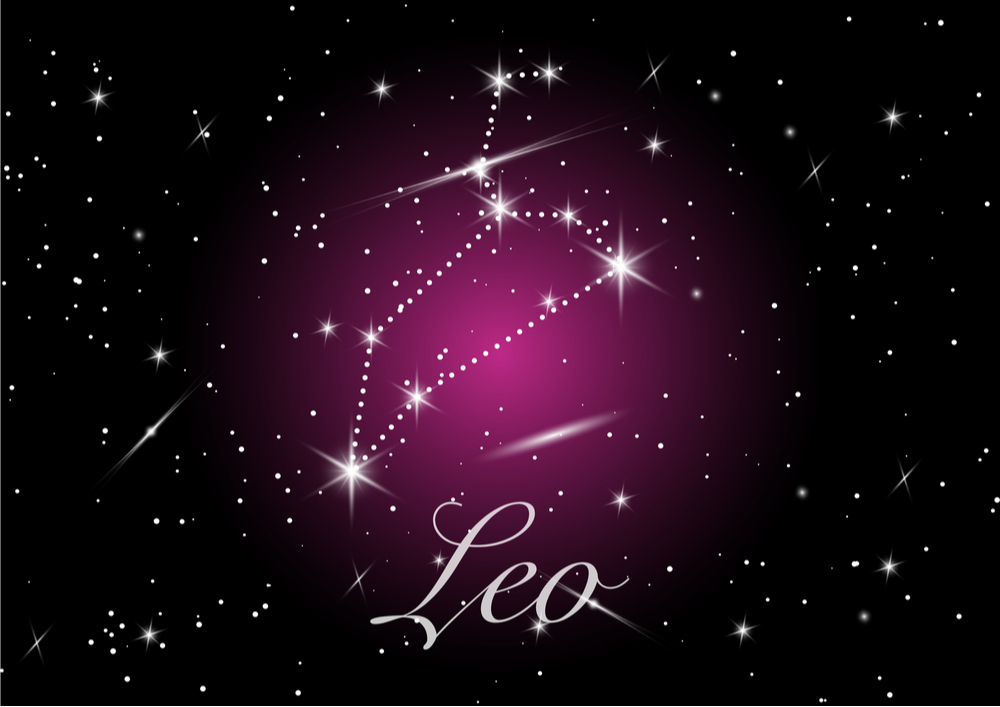 what is a leo?